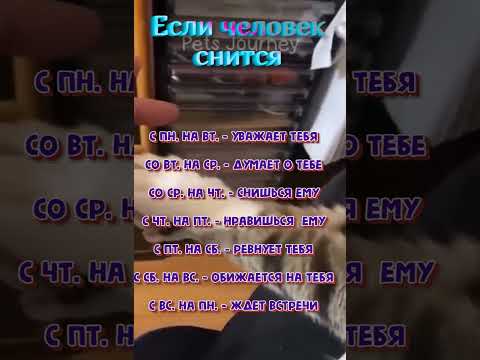 Если человек снится bboulais #астрология #знакизодиака #astrology