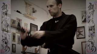 Bujinkan Hirameki Dojo - Ninjutsu in Stockholm, Sweden