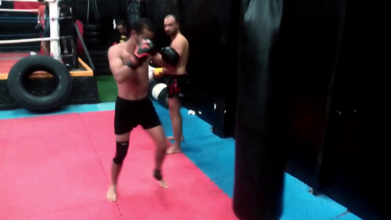 Training - YouTube