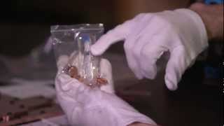 Alphacool NexXxos NVXP GTX 670 Full Cover Water Block Unboxing & First Look Linus Tech Tips