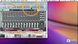 Celebrity Reason 5 tutorial: 50  The Hardware Interface Wealth
