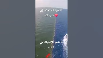 💫 صوت يدخل القلب بلا استئذان!.. تلاوة تبعث الراحة والسكينة 🌙#amraltaher@