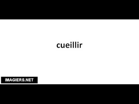 Cueillir pronunciation