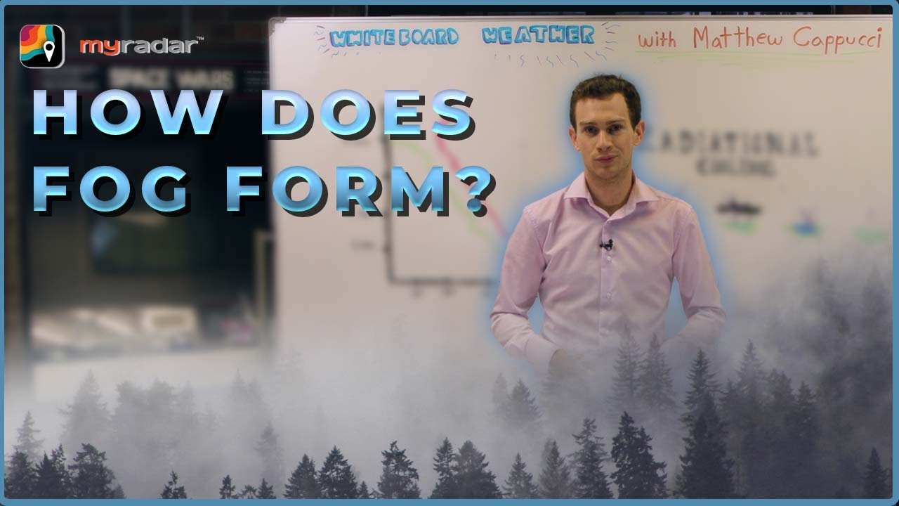 How does fog form? | Whiteboard Weather - YouTube