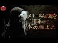 六甲山【メリーさんの館】は本当に存在する！？ダラシメンが本気で探しにいく