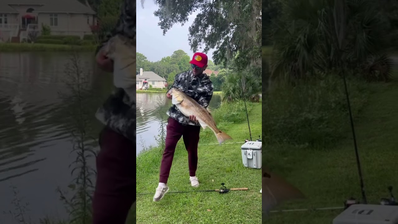 Pb redfish in a bass looking pond 