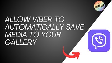 How To Allow Viber To Automatically Save Media To Your Gallery! (Easy Tutorial 2024)