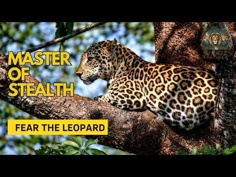 The Leopard — Master of Stealth