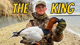 Diver Duck Hunting! We Shot A STUD CANVASBACK | Duck Hunting 2023