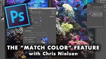 My Video Tutorial on the MATCH COLOR Feature in Photoshop CC.