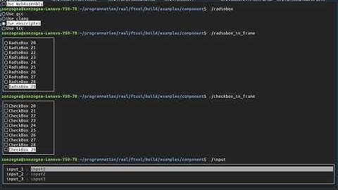 FTXUI: terminal UI checkbox radiobox and scrollable area.