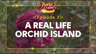 A REAL LIFE Orchid Island?! (Hidden Talents  Episode 3)