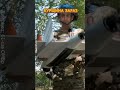 🔥Воїни 61-ї бригади поділилися кадрами із наступу на Курському напрямку #shorts