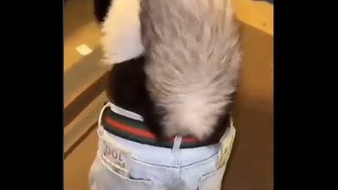 #1 rusturned pack r&r pack