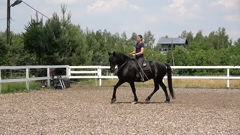 Academic Art of Riding Bettina Biolik