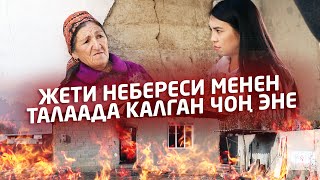 картинка: Жети небереси менен талаада калган чоң эне жардамга муктаж