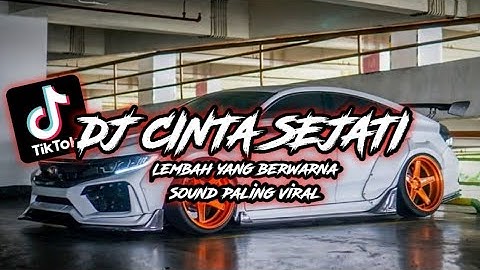 DJ CINTA SEJATI LEMBAH YG BERWARNA VIRAL TIKTOK