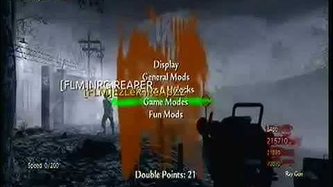 NEW FLM V3 WAW MOD MENU
