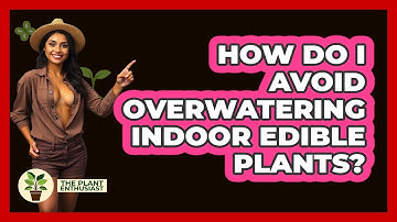 How Do I Avoid Overwatering Indoor Edible Plants? - The Plant Enthusiast
