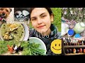 Мій день у селі.Влог #1