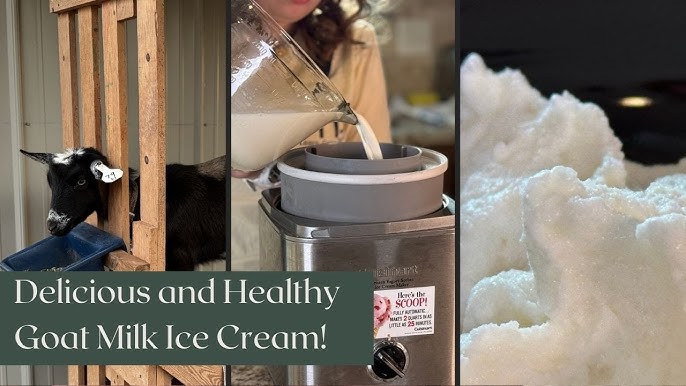 Виртуалды жыныстық қатынас Жалаңаш Ғалам аруының суреті