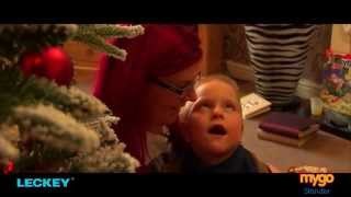 Inspirational - Max's Story - Leckey Mygo Stander