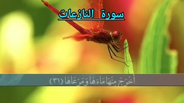 سورة النازعات القارئ عبد الله احمد شعبان