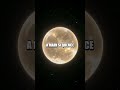 Stellar Life: The Astral Life Cycle Explained
