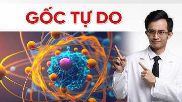 Gốc tự do - Gốc rễ của hầu hết bệnh mãn tính