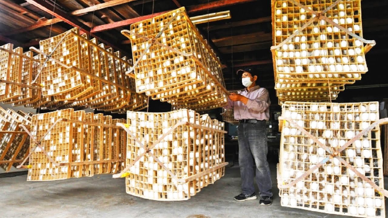 كيف تزرع اليابان مليون دودة القز لصناعة الحرير .. أدوات تربية دودة القز !!