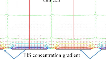 3D demonstration of the diffusion phenomenon for interdigitated array (IDA) electrodes