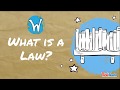 What is a law