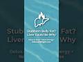 Stubborn Belly Fat? Liver Could Be Why – Liv Pure
