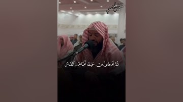 الشيخ وديع اليمني تلاوة خاشعة من سورة البقرة صلاة التراويح الليلة الثامنة رمضان ١٤٤٦ هجري