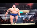懐かしの大相撲、平成時代の取組‼️横綱時代の武蔵丸対横綱時代の貴乃花【大相撲格闘編PS2🎮より】#大相撲