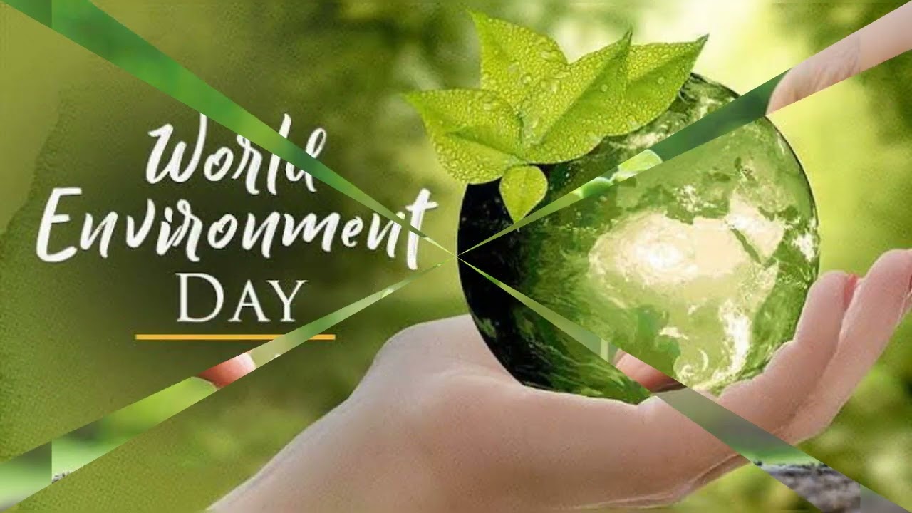 World environment day 2022 💐 5th june environment day❤ whatsapp status video💖