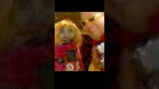 Salchites Y El Galán En El Redondel De Zapote 25 Diciembre Año 2012 Transmisión De Toros Repretel