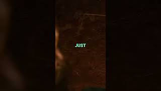 What's Happening in the Woods at Night? 🌑🚁