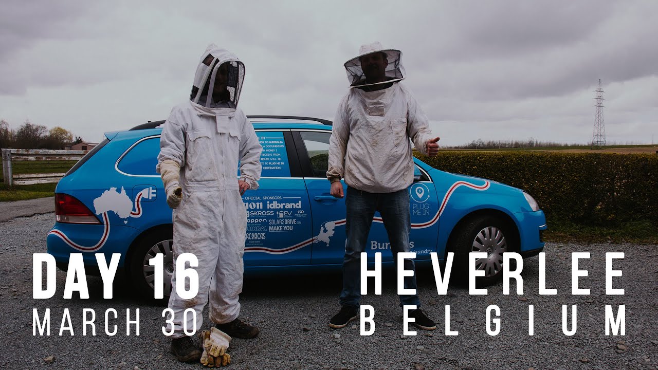 Day 16 | Bees and solar cooking