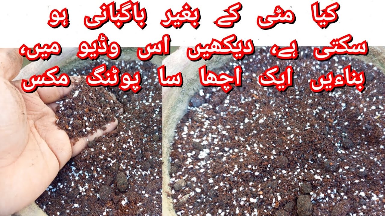 How to make Soil less Potting mix for Kitchen garden plants | New Idea ...