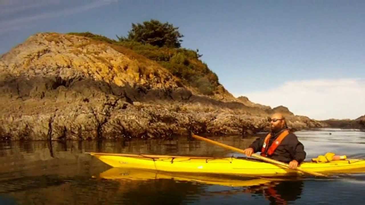 WHERE TO PADDLE IN VICTORIA HARBOUR | Visitor In Victoria