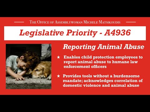 Legislation Highlight: Preventing Animal Abuse - Mondays with Michele Episode 34