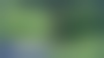 Phát hiện người đàn ông tử vong trong tư thế treo cổ trên cây