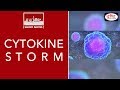Cytokine Storm - To The Point