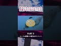 ロッドにサイコフレームを搭載するとどうなるのか　PART2 #釣り