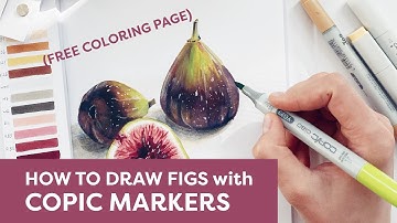 How to Draw Figs with COPIC Markers (REAL TIME) + Free Coloring Page
