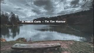 Di Mabuk Cinta? Ku Sedang Di Mabuk Cinta - Tik Tok Version | Spedd Up🎶