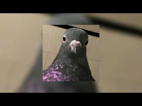 На Стиле (