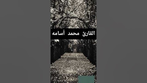 قرآن كريم  Koran kareem بصوت القارئ الشيخ محمد أسامه Mohamed osama