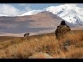 Deosai National Park - Home of The Himalayan brown bears